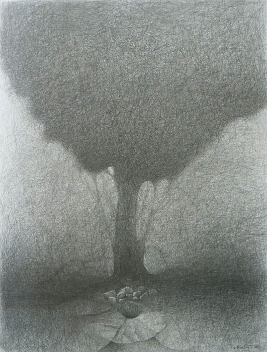 Tree - 70x50cm, pencil, 2006