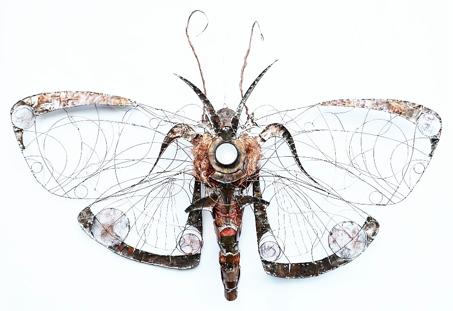 Moth Agrypina - copper, brass, solder