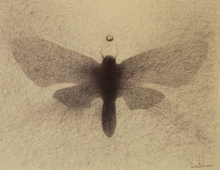 Moth, 54x70cm, ball pen, 2011, Private Collection